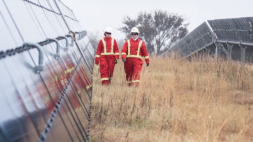 Two Shell employees walking between massive solar panels