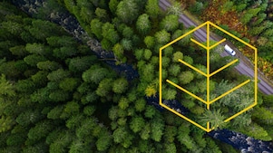 Біла вантажівка з графічним зображенням «Із повагою до природи»на дорозі в сосновому лісі біля річки 