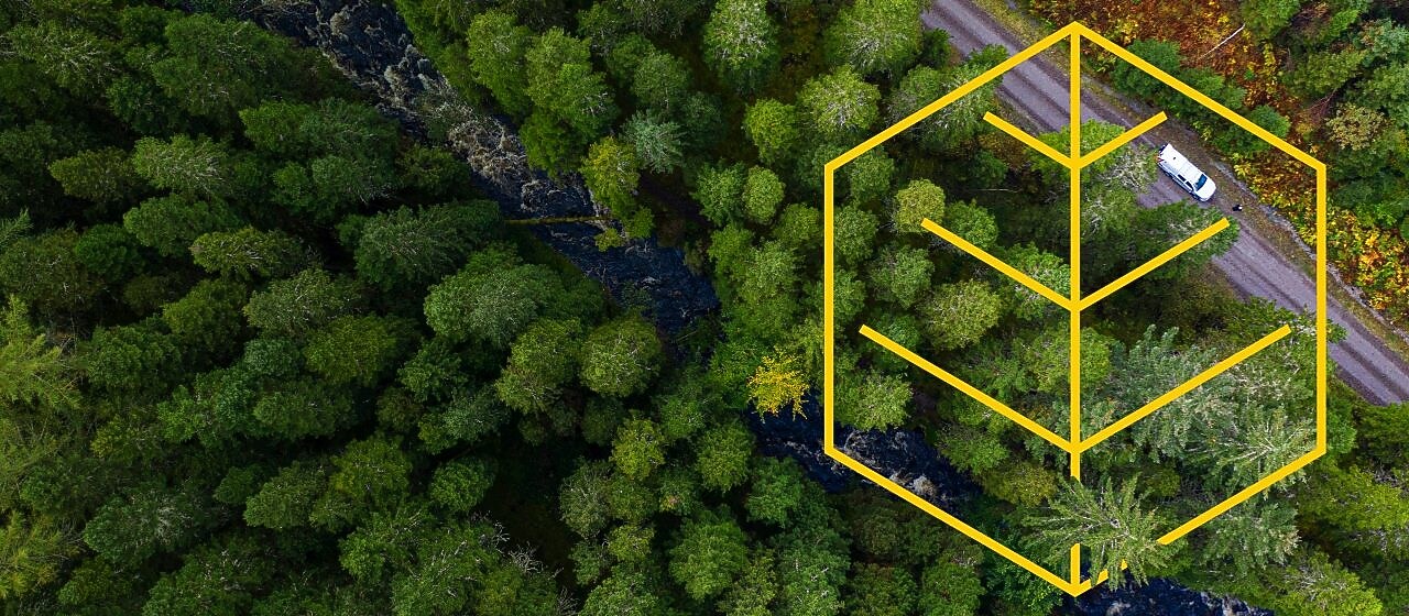 Біла вантажівка з графічним зображенням «Із повагою до природи»на дорозі в сосновому лісі біля річки