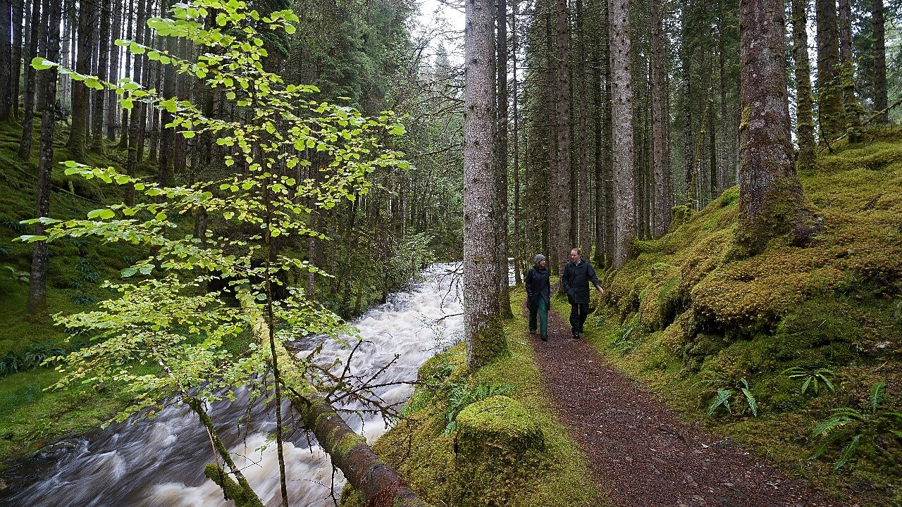 Чоловік і жінка гуляють лісом біля струмка