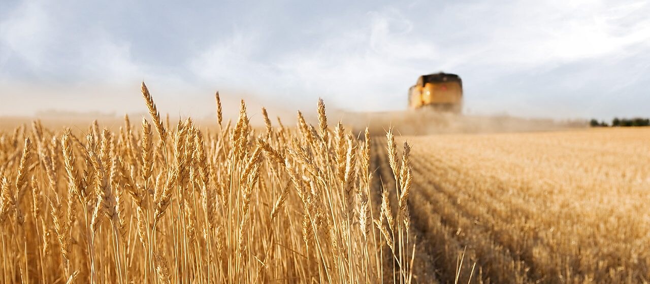 Збільшення прибутковості в сільському господарстві