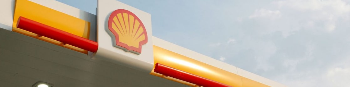 shell pecten with sky and clouds