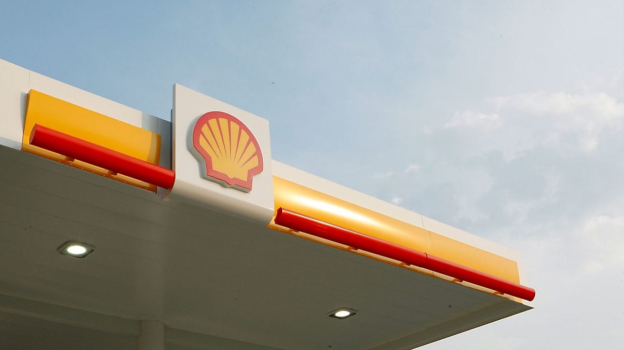 shell pecten with sky and clouds